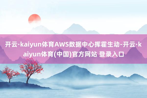 开云·kaiyun体育AWS数据中心挥霍生动-开云·kaiyun体育(中国)官方网站 登录入口