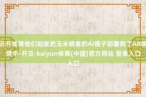 云开体育他们如故把玉米病害的AI模子部署到了AR眼镜中-开云·kaiyun体育(中国)官方网站 登录入口