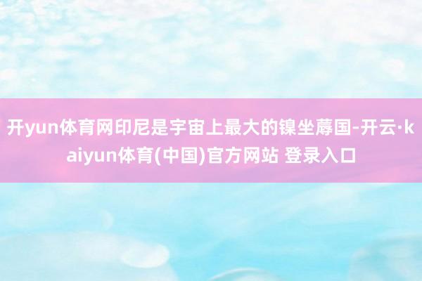 开yun体育网　　印尼是宇宙上最大的镍坐蓐国-开云·kaiyun体育(中国)官方网站 登录入口