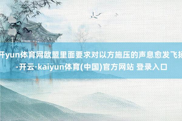 开yun体育网欧盟里面要求对以方施压的声息愈发飞扬-开云·kaiyun体育(中国)官方网站 登录入口