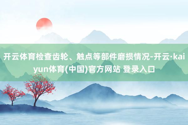 开云体育检查齿轮、触点等部件磨损情况-开云·kaiyun体育(中国)官方网站 登录入口