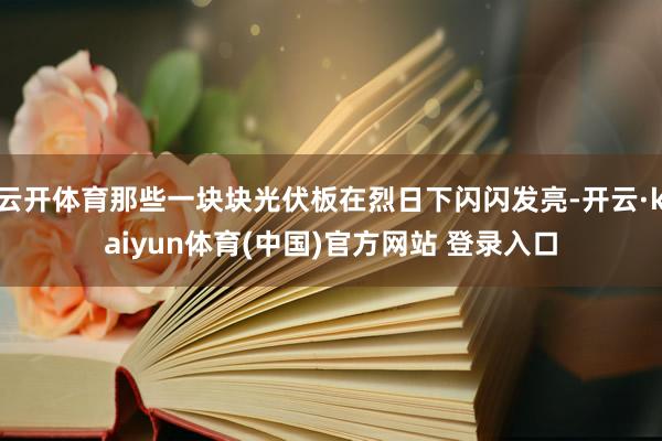 云开体育那些一块块光伏板在烈日下闪闪发亮-开云·kaiyun体育(中国)官方网站 登录入口