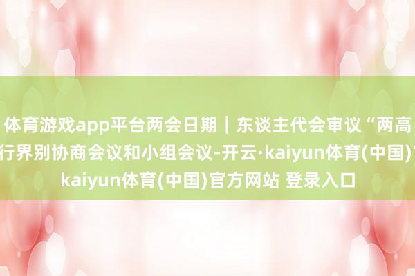 体育游戏app平台两会日期|东谈主代会审议“两高”申报等,政协举行界别协商会议和小组会议-开云·kaiyun体育(中国)官方网站 登录入口